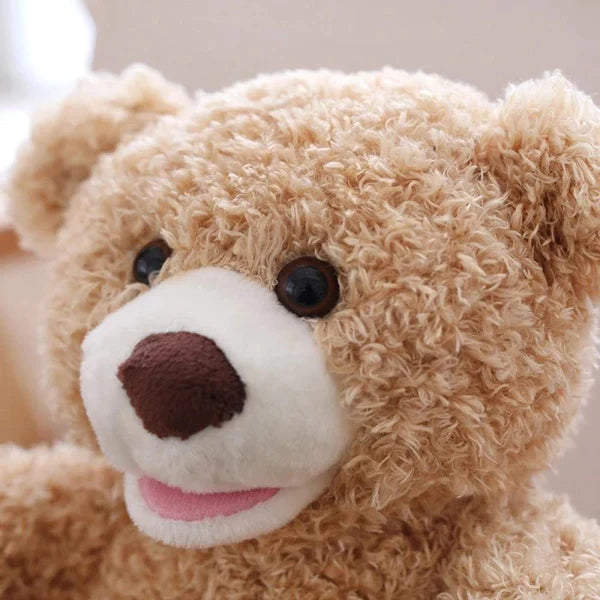 Hide and Seek Peek-A-Boo Teddy Bear - Future Souk